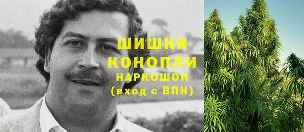 дурь Касимов