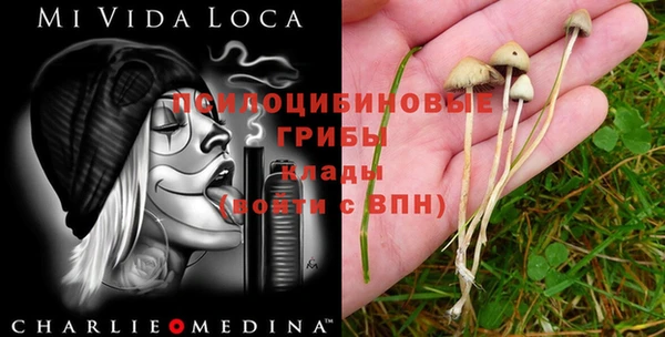дурь Касимов