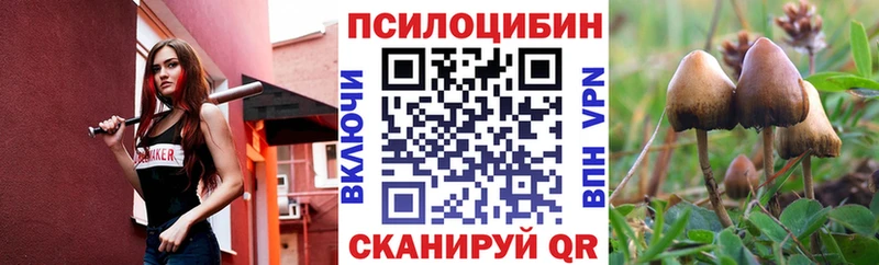 Псилоцибиновые грибы Psilocybe  Купить где  Высоковск 